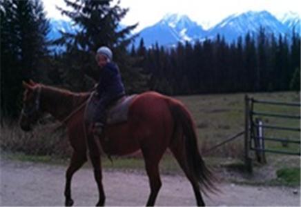 Bear Corner Adventures Bed & Bale Hotel Golden Buitenkant foto