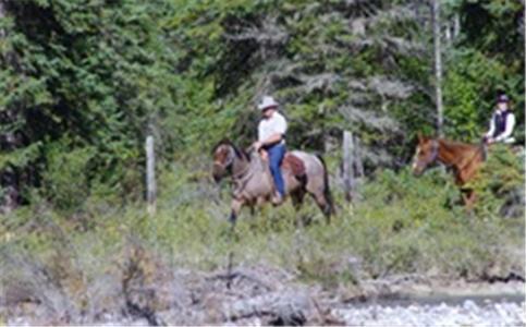Bear Corner Adventures Bed & Bale Hotel Golden Buitenkant foto