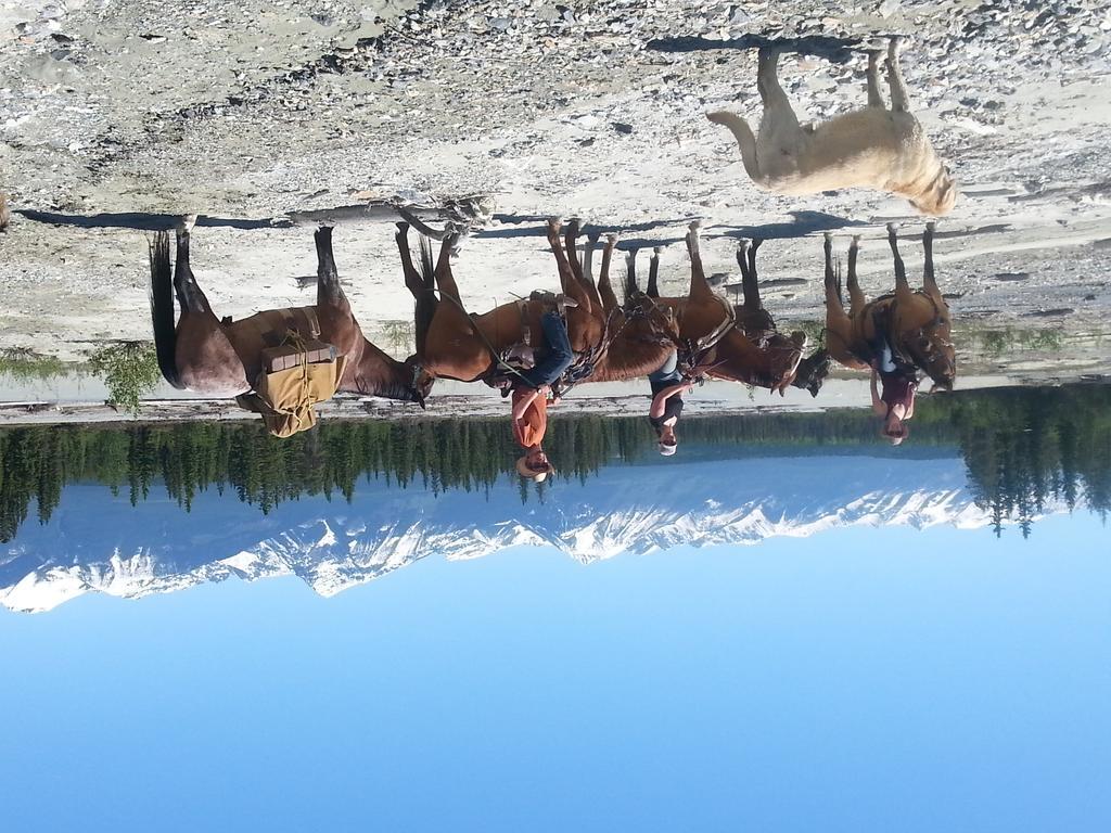 Bear Corner Adventures Bed & Bale Hotel Golden Buitenkant foto